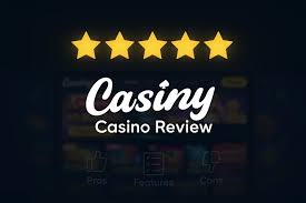 Everything You Need to Know About Casiny Login 11